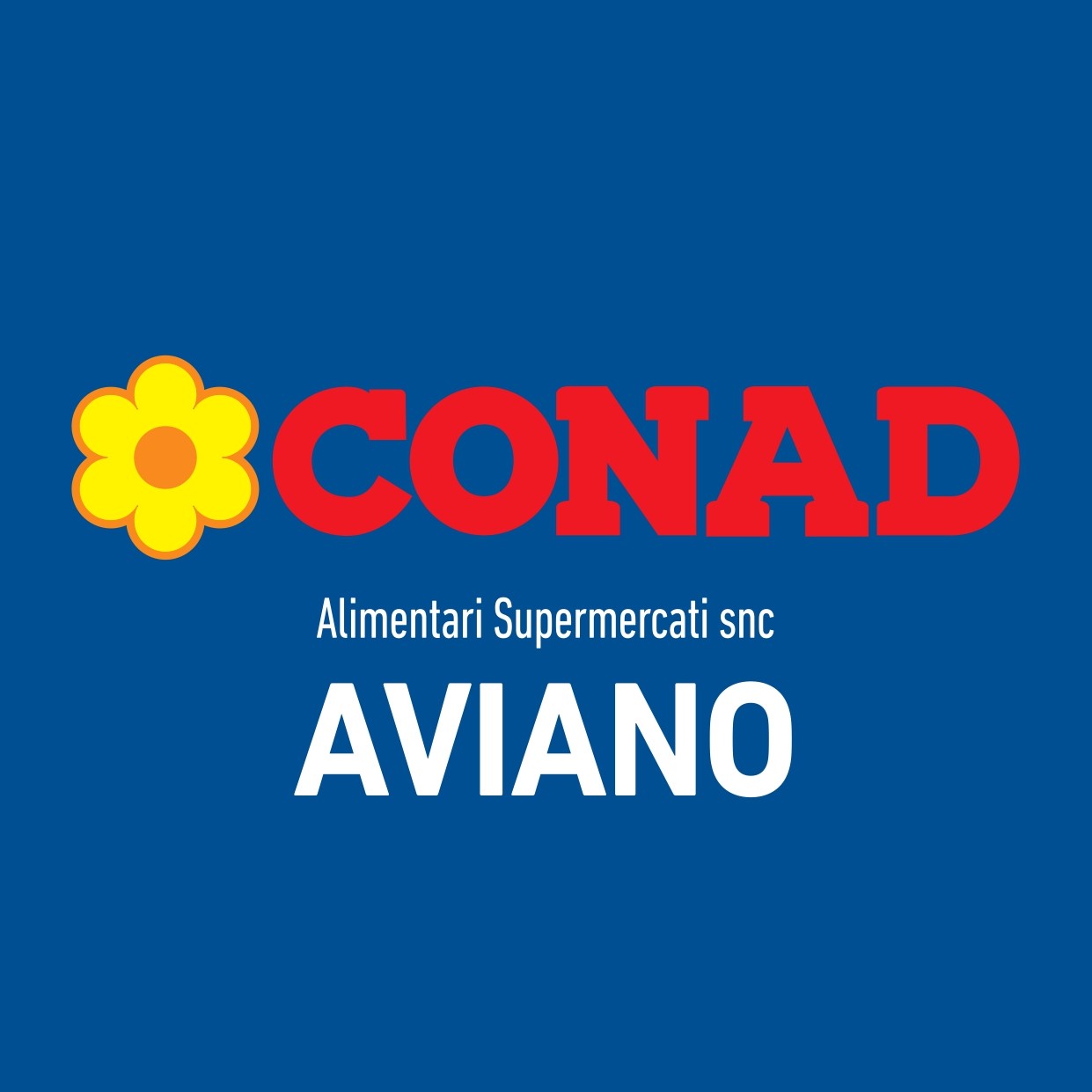 Logo Conad Aviano